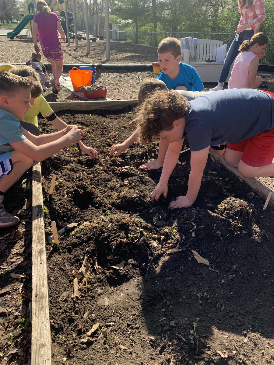 Studio3EPiC's tweet photo. Getting our hands dirty today! Our garden has been cleaned up and planted for a late spring harvest! @EpicElementary @LIBERTYSCHOOLS #schoolgardens #EpicMarket 🥬🥕🥔🍅🫑 https://t.co/dohqZZ0O8S