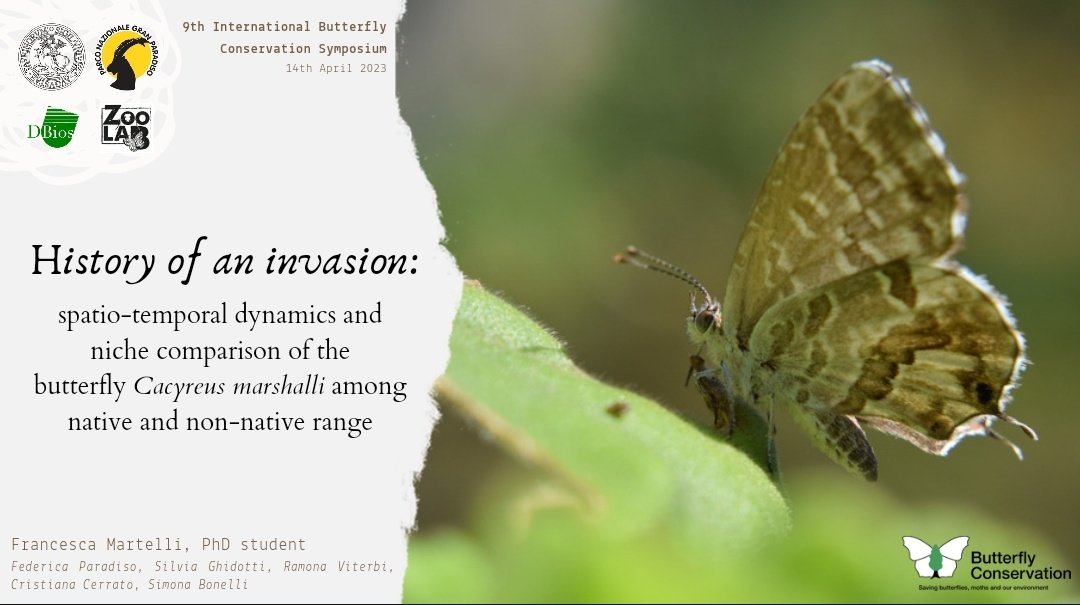 Francesca Martelli ๐ป (@ceschina__) on Twitter photo Tomorrow, for the first time, I will present our #Cacyreusmarshalli research at the 2023 <a href="/savebutterflies/">Butterfly Conservation ๐ฆ</a> Symposium! ๐บ
Come and join our session if you want to find out more about the one and ony #alien #butterfly species in Europe ย ๐ธ ๐ฆ
rdcu.be/cUFk1 Tomorrow, for the first time, I will present our #Cacyreusmarshalli research at the 2023 <a href="/savebutterflies/">Butterfly Conservation ๐ฆ</a> Symposium! ๐บ
Come and join our session if you want to find out more about the one and ony #alien #butterfly species in Europe ย ๐ธ ๐ฆ
rdcu.be/cUFk1