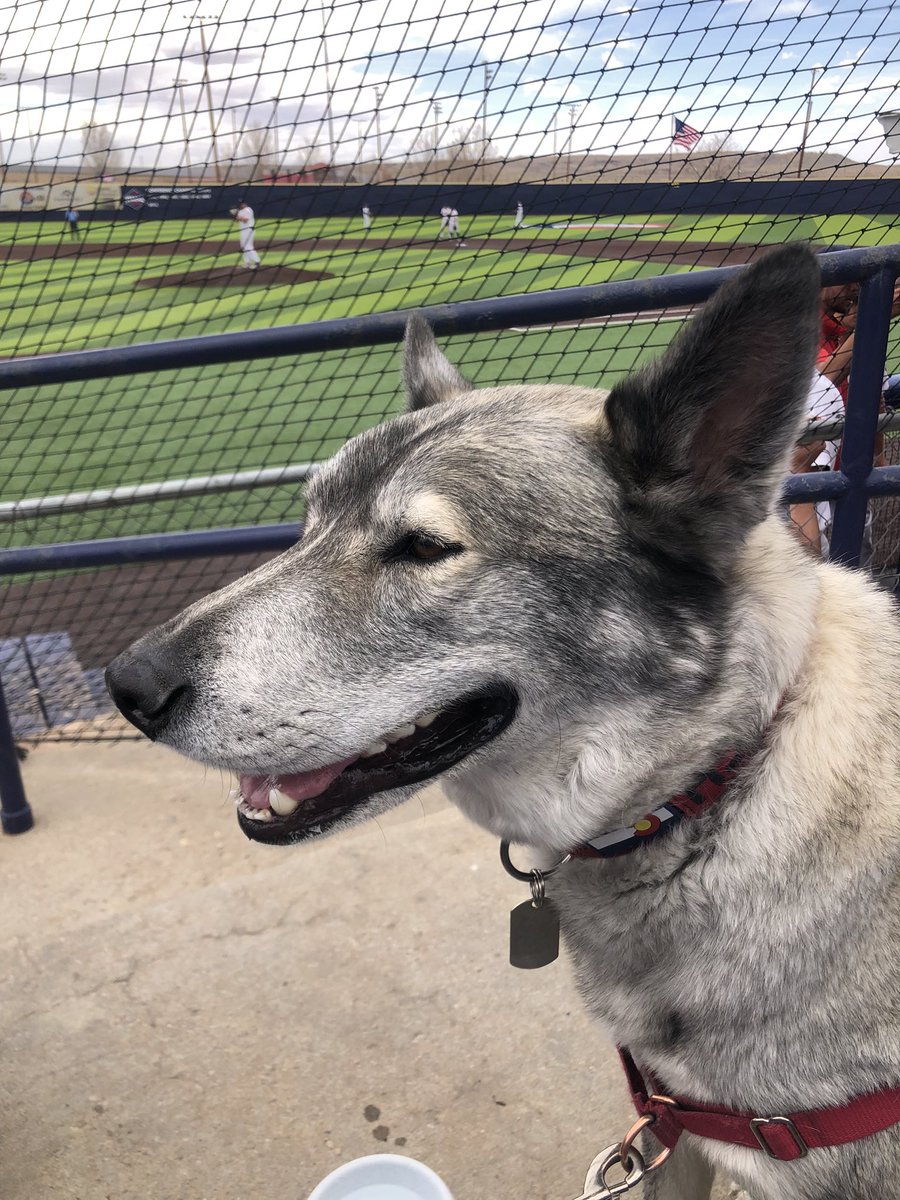 skidog2Tundra's tweet photo. @CSUPBaseball @edwing__ Way to ROCH! #TeamTundraPack #MyPackRochs #ThunderwolfVictory https://t.co/CAJkeSIaDE