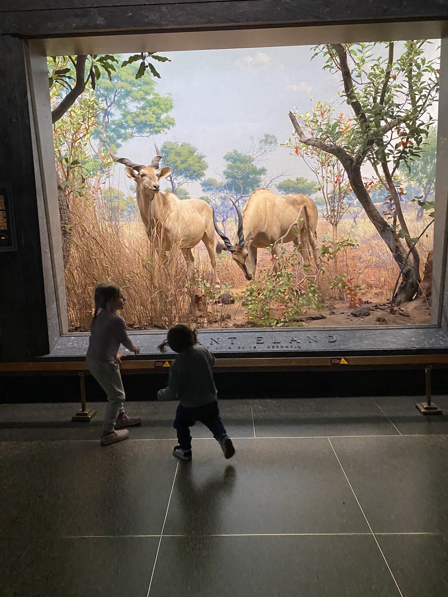 wetzel_mrs's tweet photo. Went to the city for the first half of Spring Break and walked everywhere which felt like a huge feat with two little monsters. Checked out the Museum of Natural History, Central Park, and the Zoo! #BeachAtOurBest #SpringMeOut @ptbeachsuper https://t.co/G1IpIQnBDa