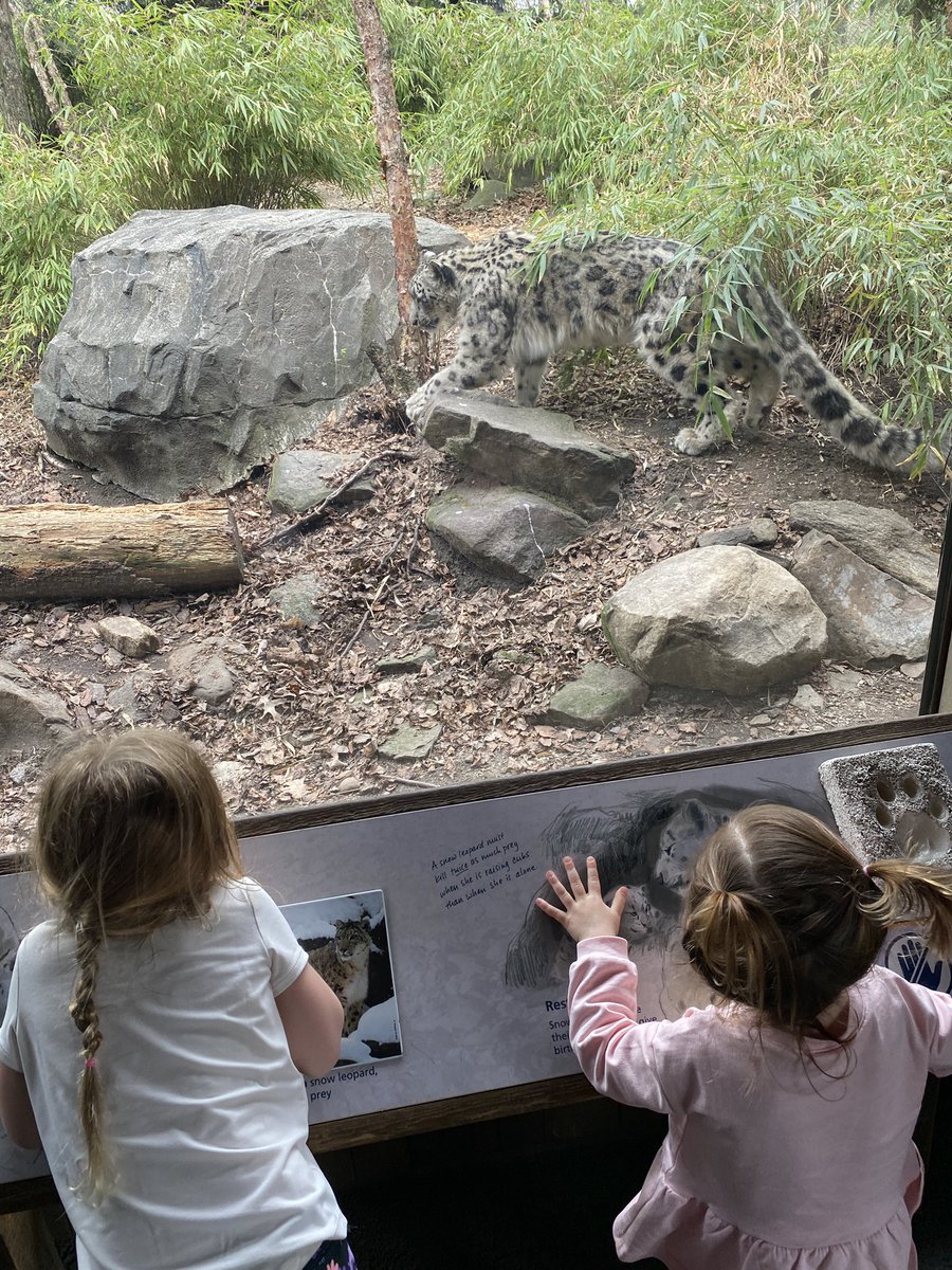 wetzel_mrs's tweet photo. Went to the city for the first half of Spring Break and walked everywhere which felt like a huge feat with two little monsters. Checked out the Museum of Natural History, Central Park, and the Zoo! #BeachAtOurBest #SpringMeOut @ptbeachsuper https://t.co/G1IpIQnBDa