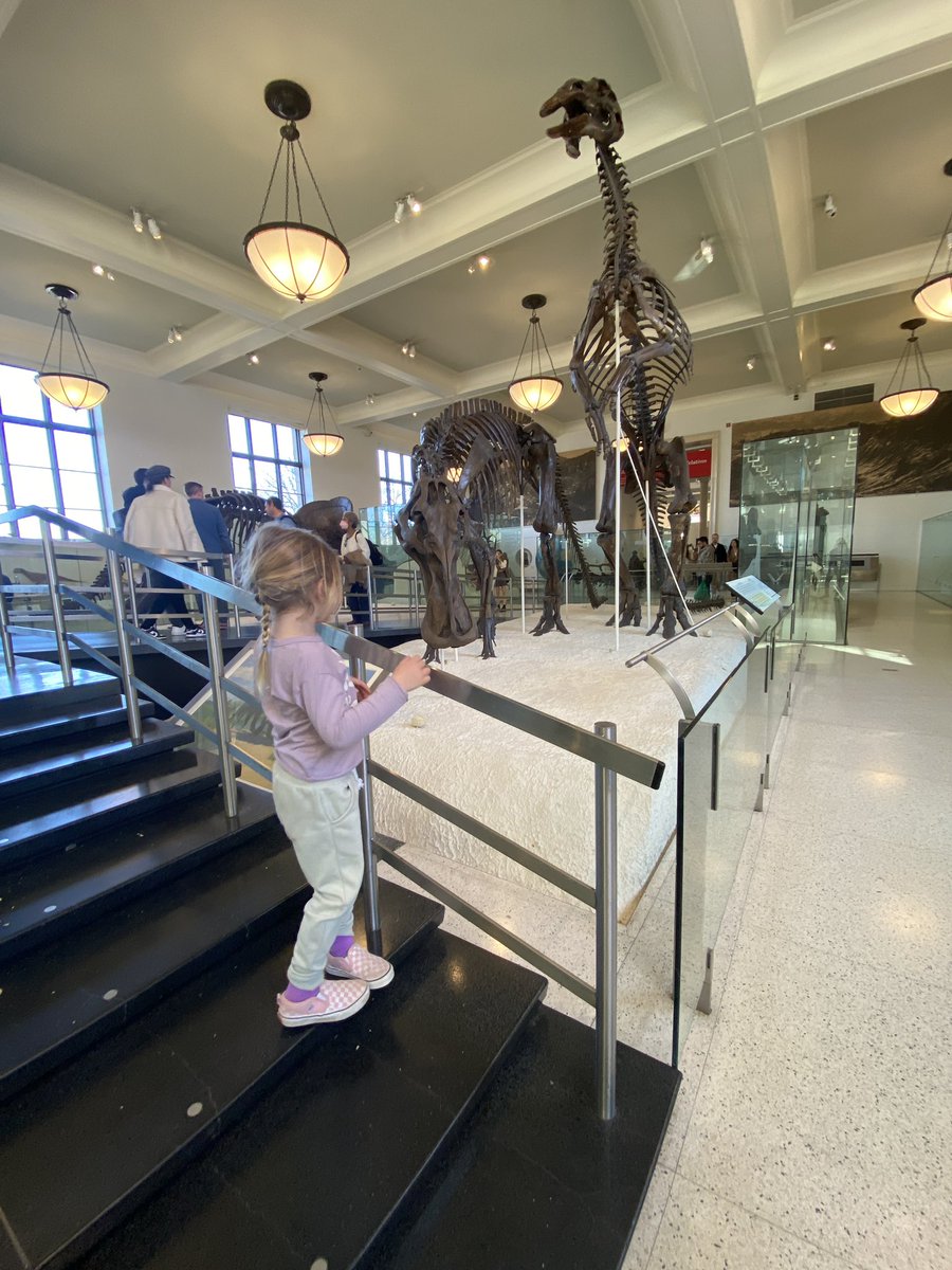 wetzel_mrs's tweet photo. Went to the city for the first half of Spring Break and walked everywhere which felt like a huge feat with two little monsters. Checked out the Museum of Natural History, Central Park, and the Zoo! #BeachAtOurBest #SpringMeOut @ptbeachsuper https://t.co/G1IpIQnBDa
