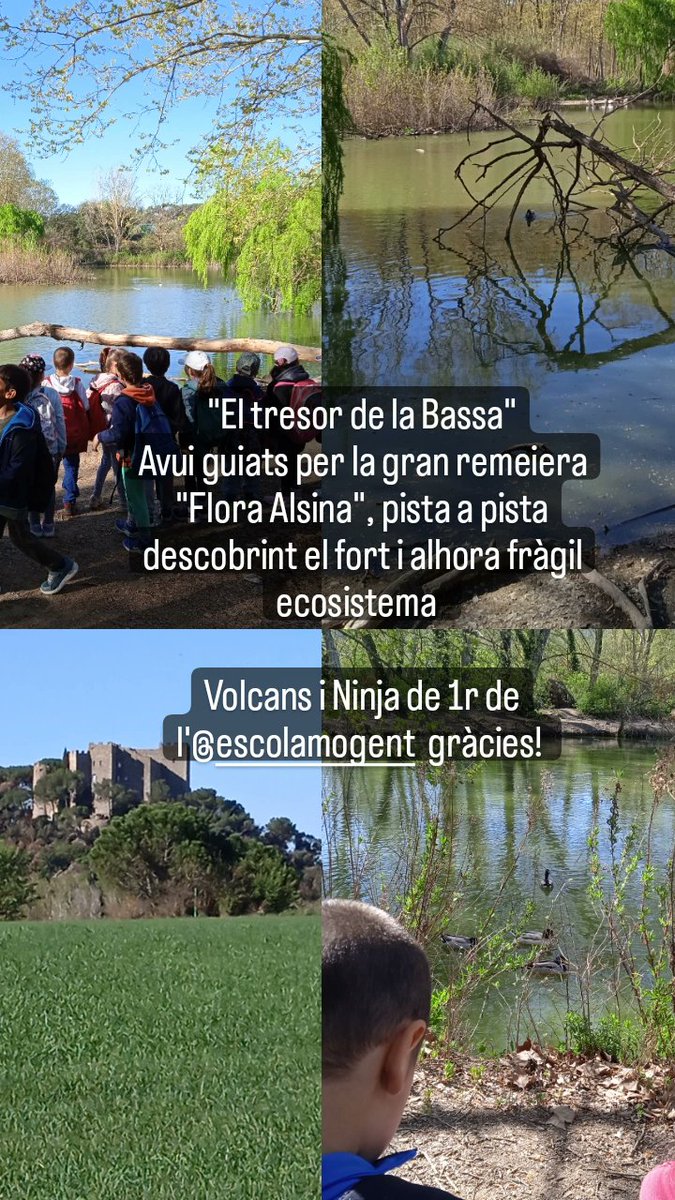 L'ecosistema de la bassa, guiats per la 'Flora Alsina', la gran remeiera desapareguda una nit d'estiu de lluna plena...
Classes de 1r de @escolamogent 

#laRocadelVallès #patrimoninatural 
#expedientAlsinaMiralpeix