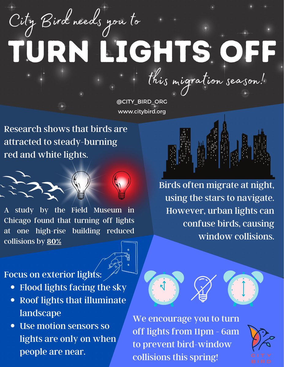 city_bird_org's tweet photo. Using lights at night contributes to bird-window collisions, especially during migration season. This spring migration, help save birds by turning your lights off from 11pm to 6am! #citybird #LightsOutforBirds #birdwindowcollisions
Sources: link in bio. https://t.co/Hno9A83BmI