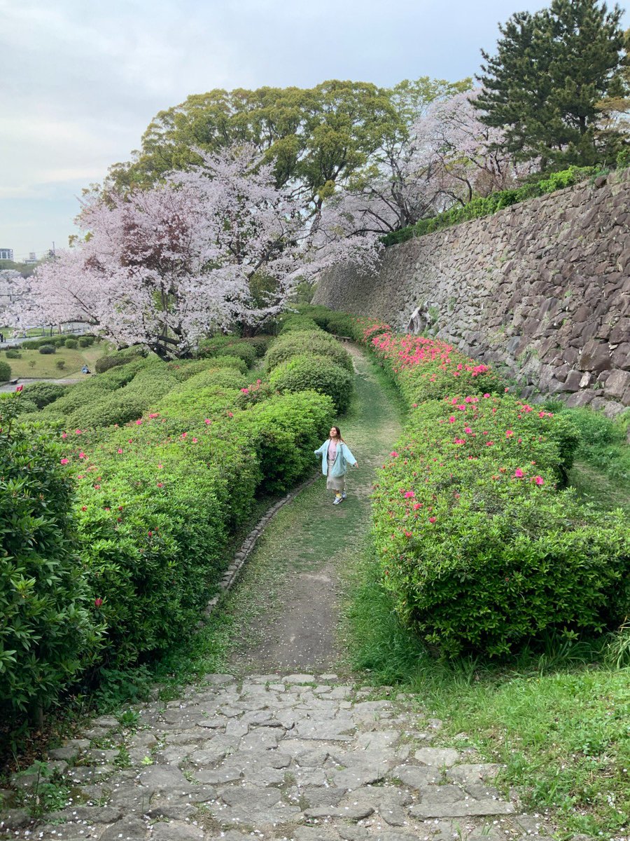 Michiko79065575's tweet photo. Even my clothes matches to the nature https://t.co/wIU2nMV47H