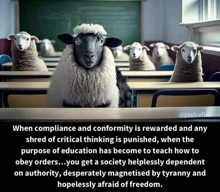 BaileyTremayne's tweet photo. @TweetyMontgome1 And because iniquity shall abound, the love of many shall wax cold.
Mateya 24:12 KJV
This is what happened when the wolves in sheep's clothing, switched the truth, &amp; started teaching doctrines of devils 1800 years ago. The sheeple think they're connected to the real Creator. https://t.co/Iw8MKKvVIB