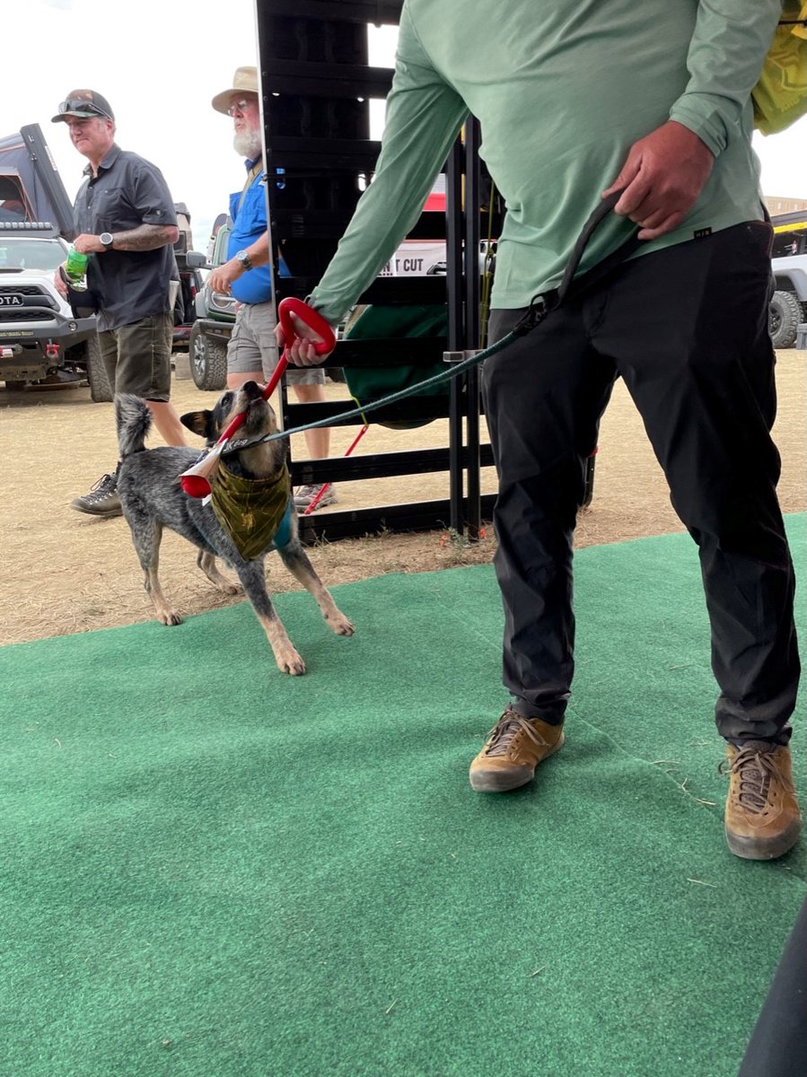 Bihlerflexllc's tweet photo. Due to our success with The Perfect Tug Toy, we created the following best tug toy, one that would allow the user to have a better experience with their dog! https://t.co/PGzRBl4yLX