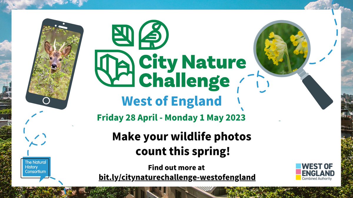 Not long 'til #CityNatureChallenge.

Looking forward to processing the data! 🖥️🖱️🐝🐌🌿