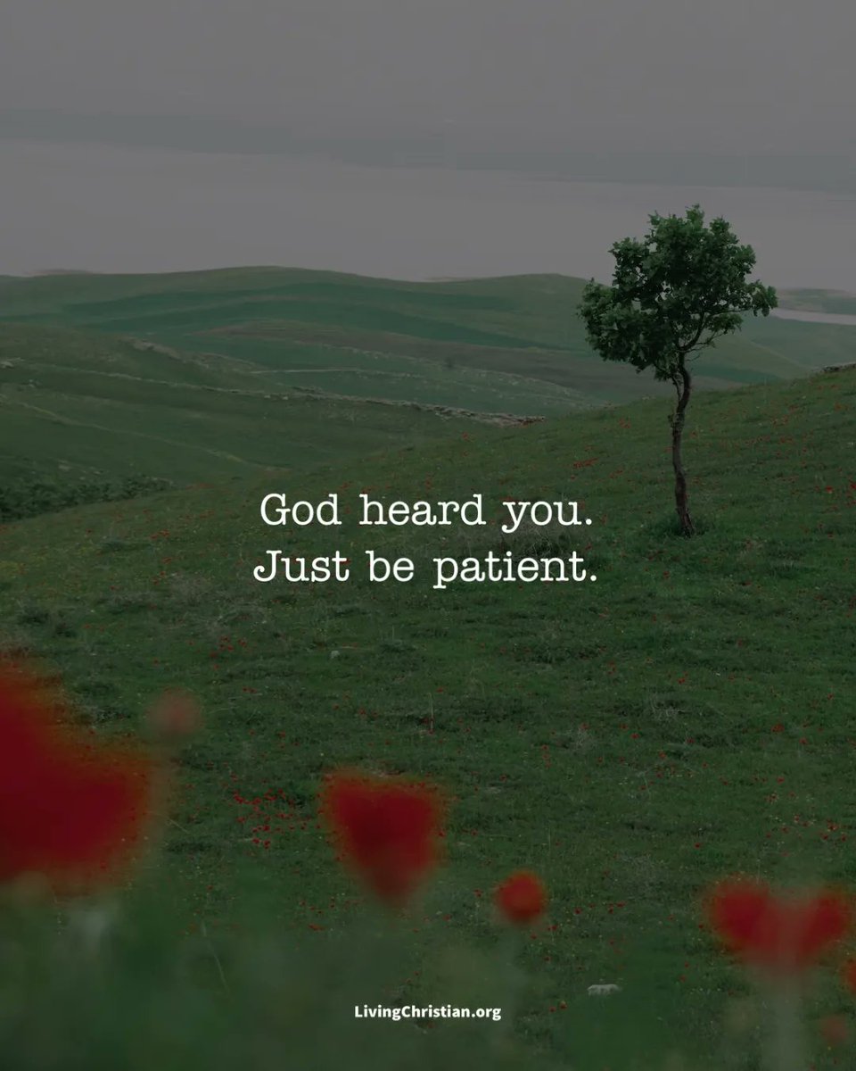 Living Christian tweet media