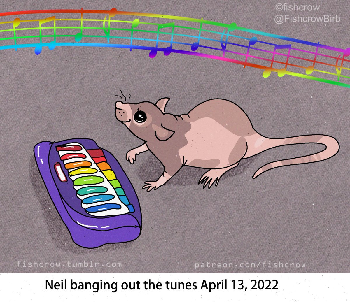 Neil banging out the tunes! 🎶