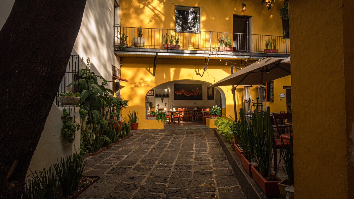 El__Convento's tweet photo. Cuando entras al #RestauranteElConvento encuentras una atmósfera que inspira tranquilidad, con toda la esencia de #Coyoacán.
Ven a disfrutar este espacio único y déjate consentir con la mejor cocina de #tradición y el servicio y atención que te mereces.
#LaPuertaDeCoyoacán https://t.co/dX0AimDWdb