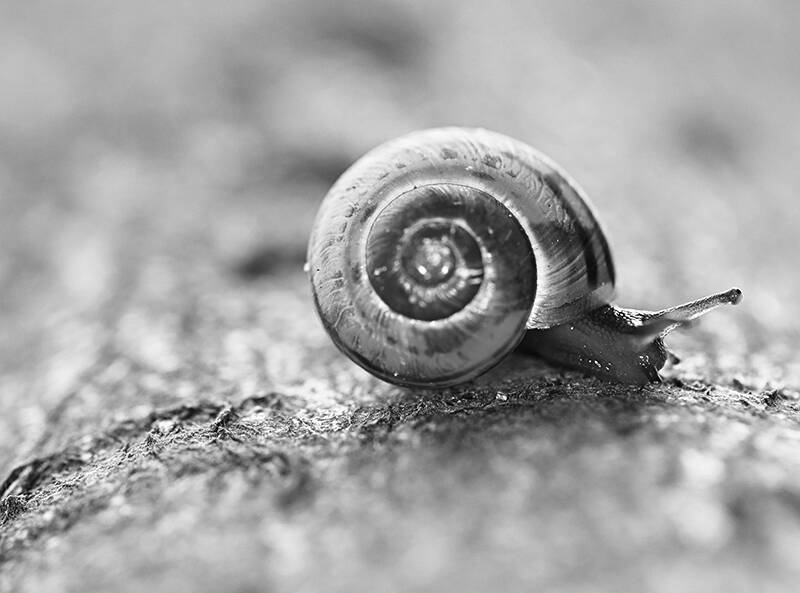 Un peu de #DroitCommercial 👥

Quelle est la position de la Cour de cassation sur la rétractation du promettant dans ses promesses unilatérales de vente ? Éclairage 💡 mon.conseilpro.link/r/1yugxrc