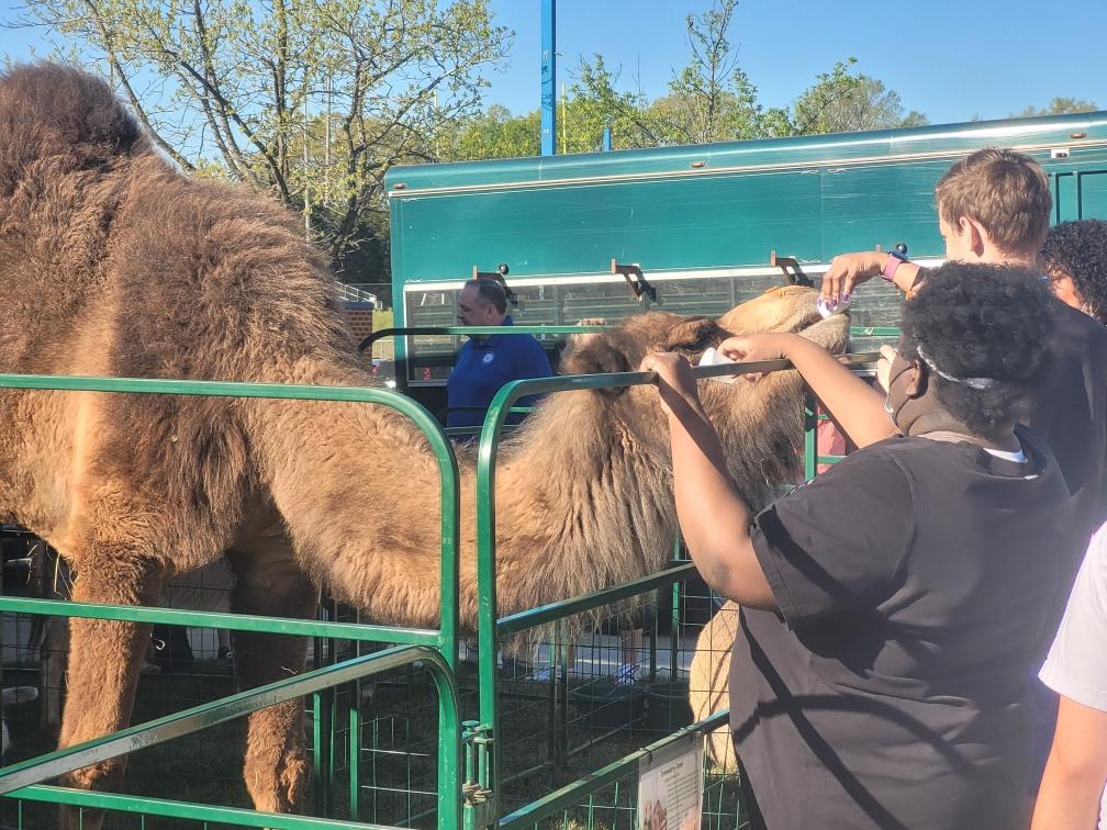 theWPboard's tweet photo. More WP Wellness Day Goodness!  Travis Manion Service, Petting Zoo oh my! https://t.co/10vMGp2Nbb