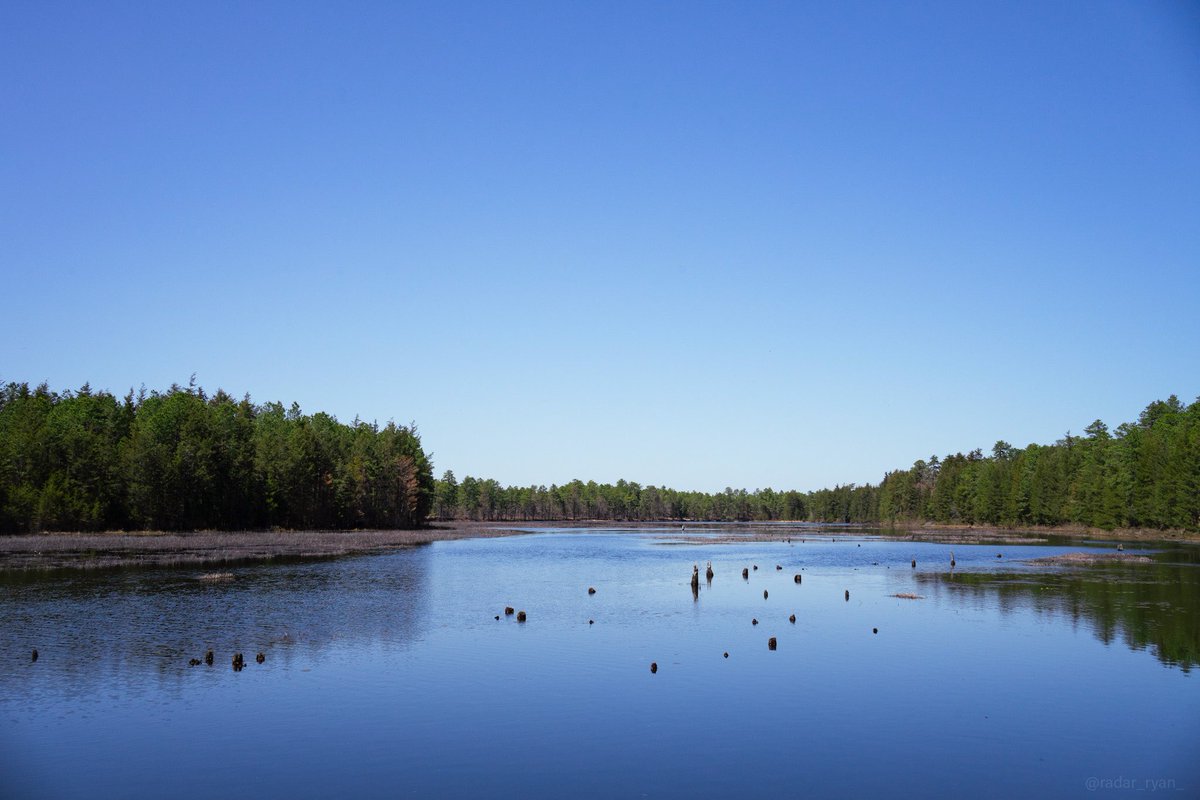 radar_ryan_'s tweet photo. Perfect weather for a walk along the Batsto Lake trail ☀️
#lakephotography #lakephoto #reflections #reflectionphotography #naturephotography #lakeday #naturephoto #lakelife #landscapephotography #springweather #laketrip #blueskies #picoftheday #beautiful_world https://t.co/hoCFI2obBT