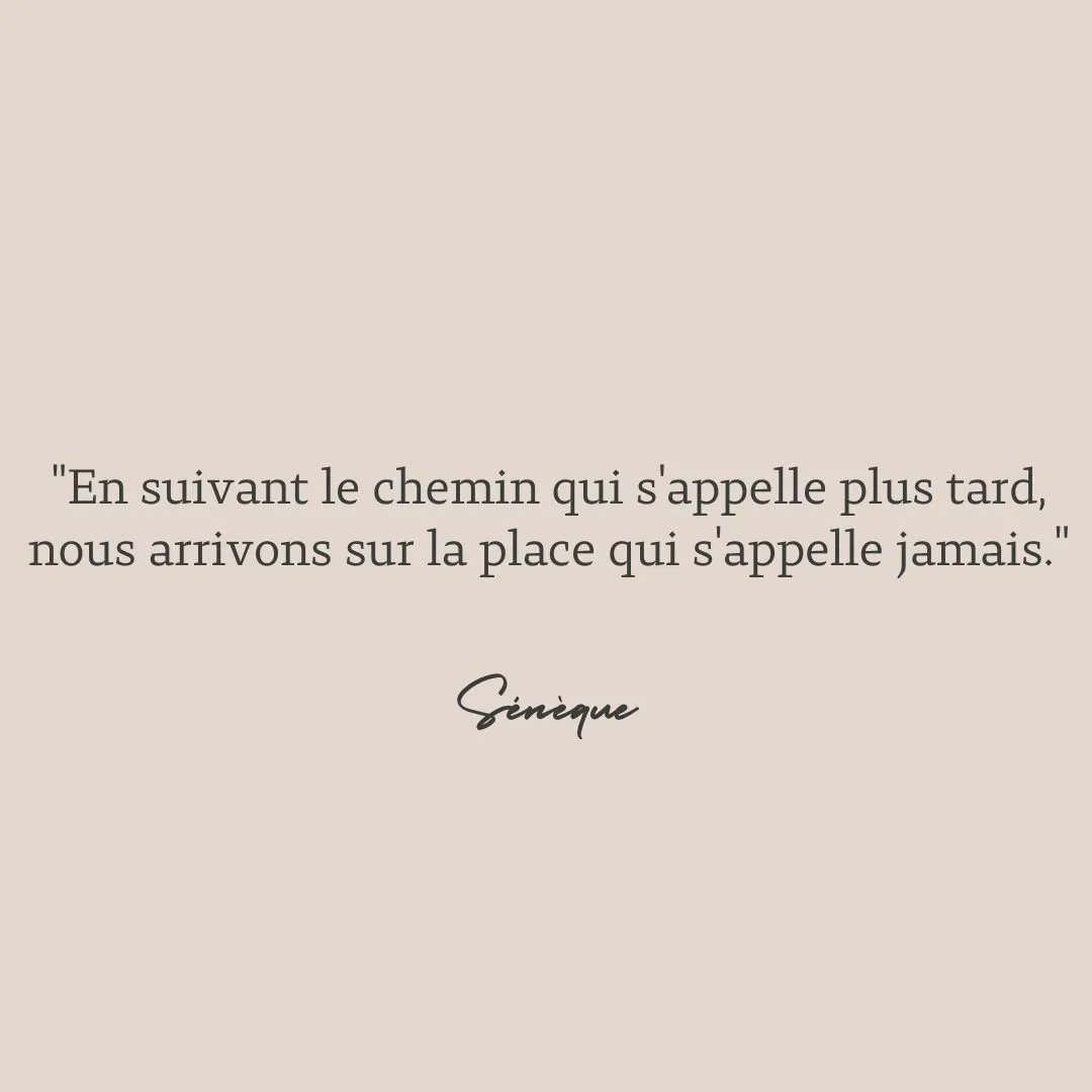 mi_kiry1's tweet photo. Une citation de Sénèque.

https://t.co/E7BWIlVUnX https://t.co/4HdvSE64xF