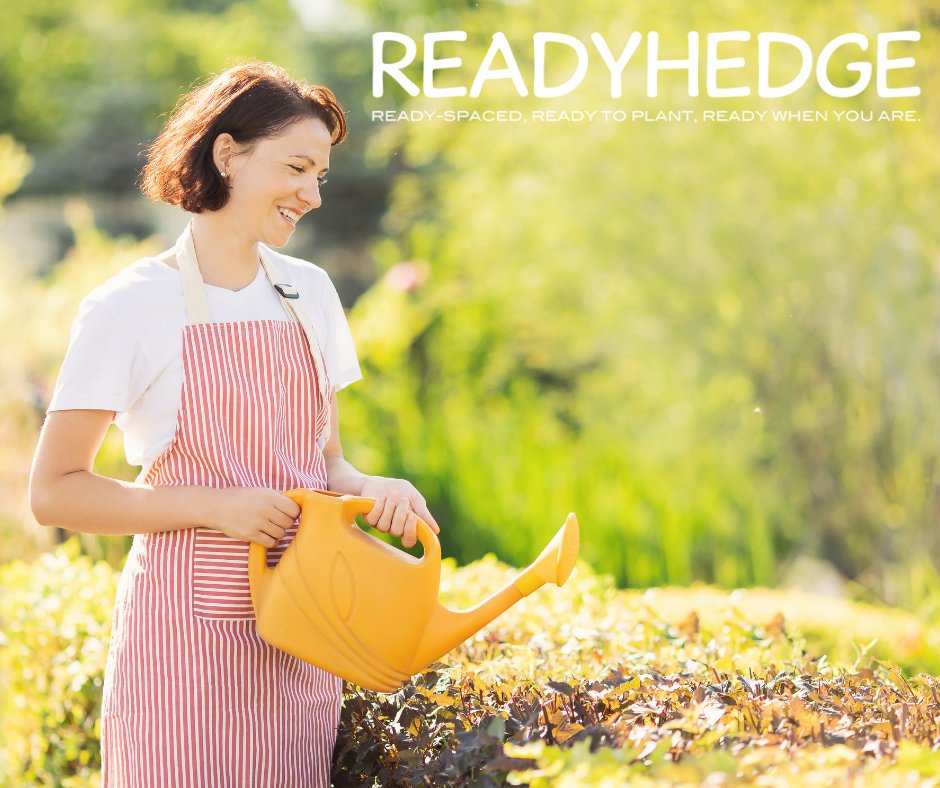 Readyhedge's tweet image. Spring is the perfect time to care for your hedges! Learn how to keep them healthy and promote biodiversity in your garden with our latest blog. readyhedgeltd.com/spring-hedge-c…🌿🌸 #hedgecare #springgardening