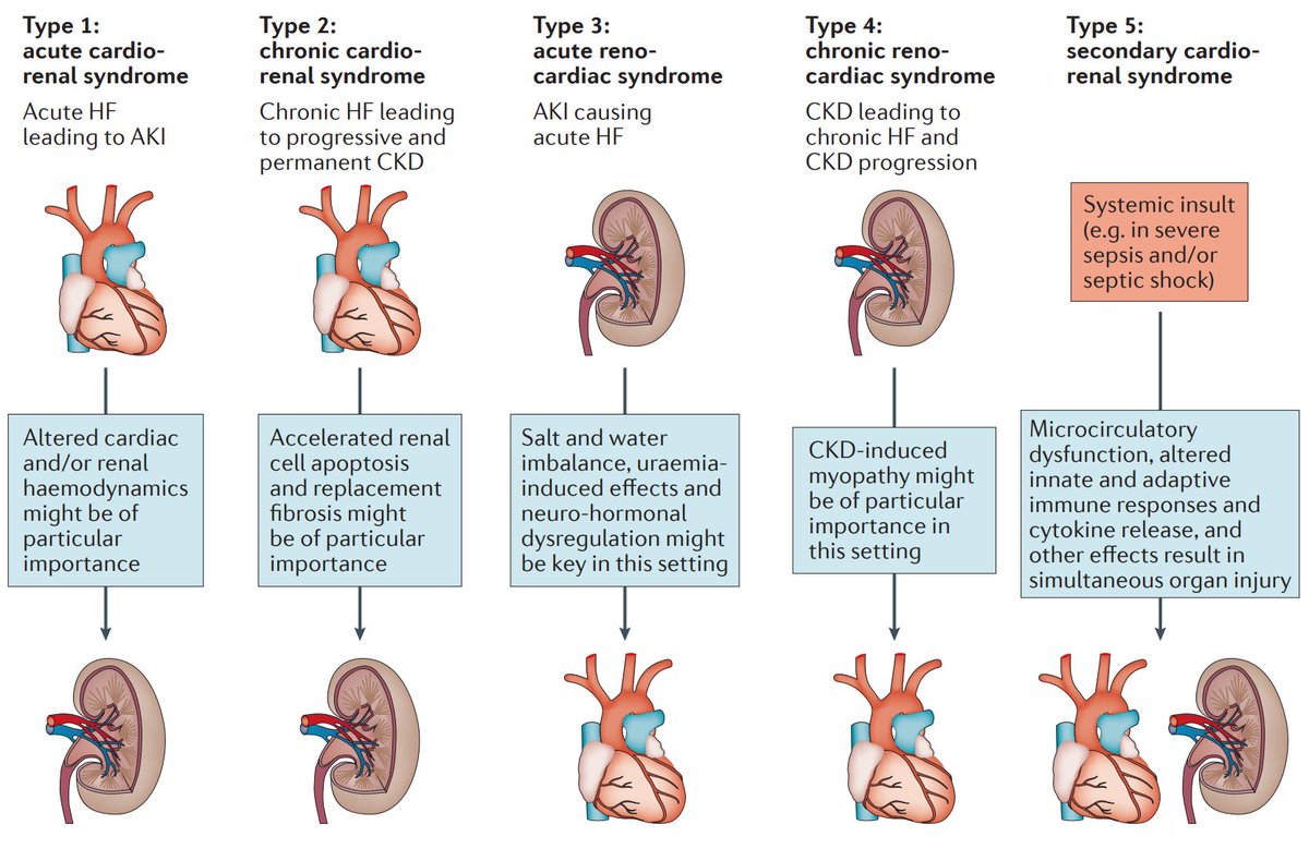 edgarvlermamd's tweet photo. Cardiorenal syndrome: Definitions, Hemodynamic mechanisms, Neurohormonal mechanisms
#NKFClinicals #Nephpearls 

👉 https://t.co/wHlKnYCua8 https://t.co/GQepSddlPK