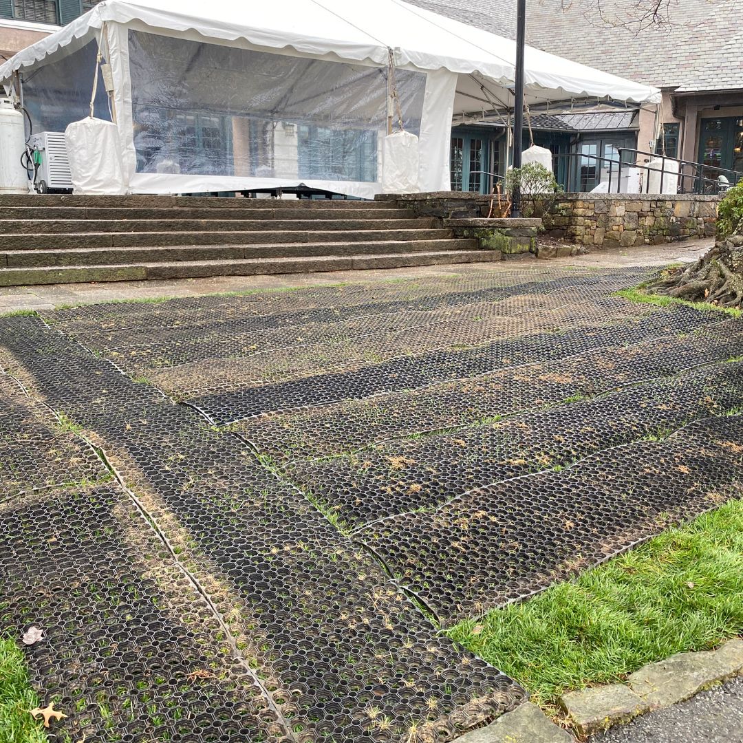 Traqmatz tweet media