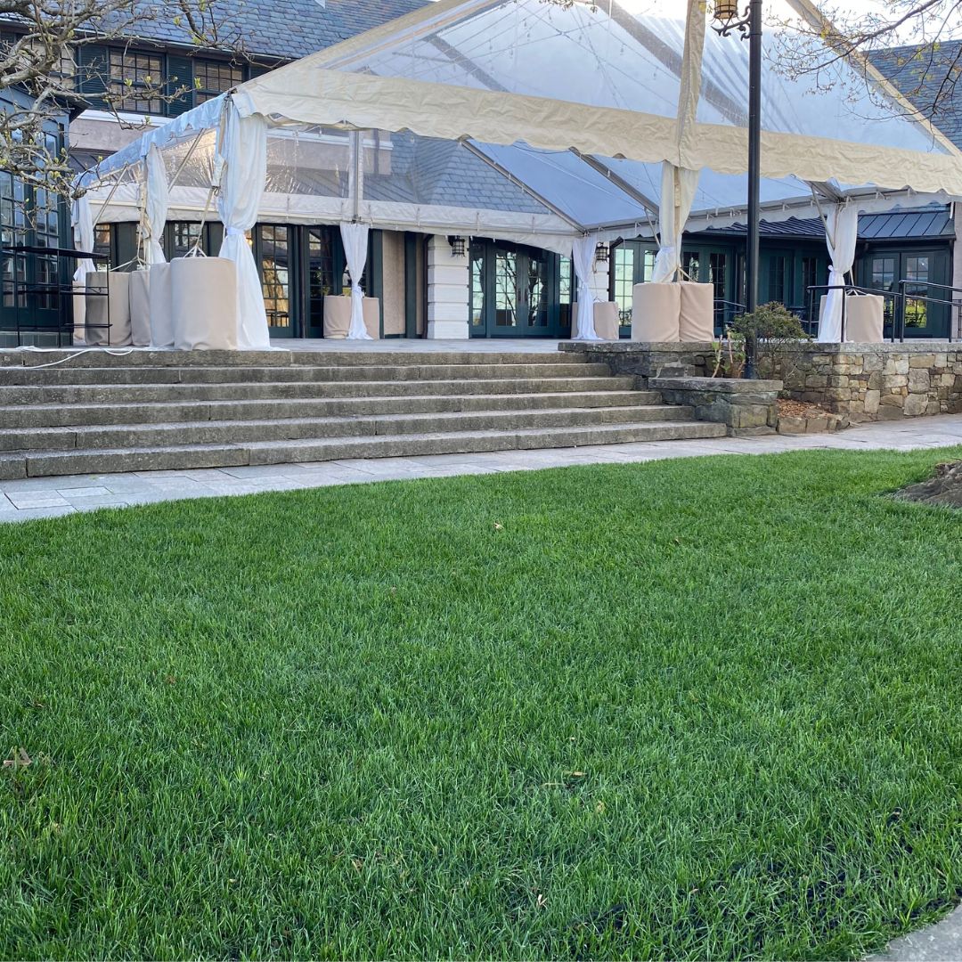 Traqmatz tweet media