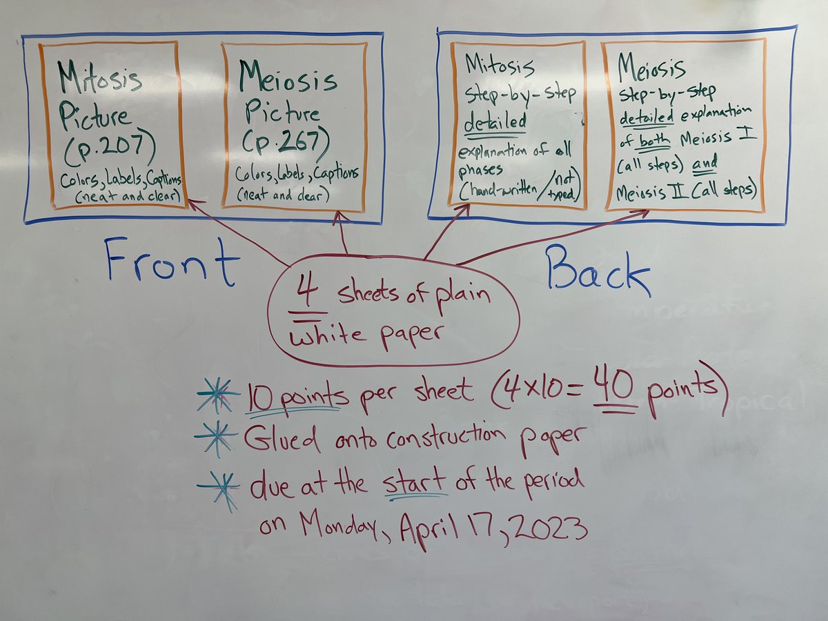 MrDerda's tweet photo. Mitosis/Meiosis Poster (due on Monday) - 40 points https://t.co/03q4l4iMMt
