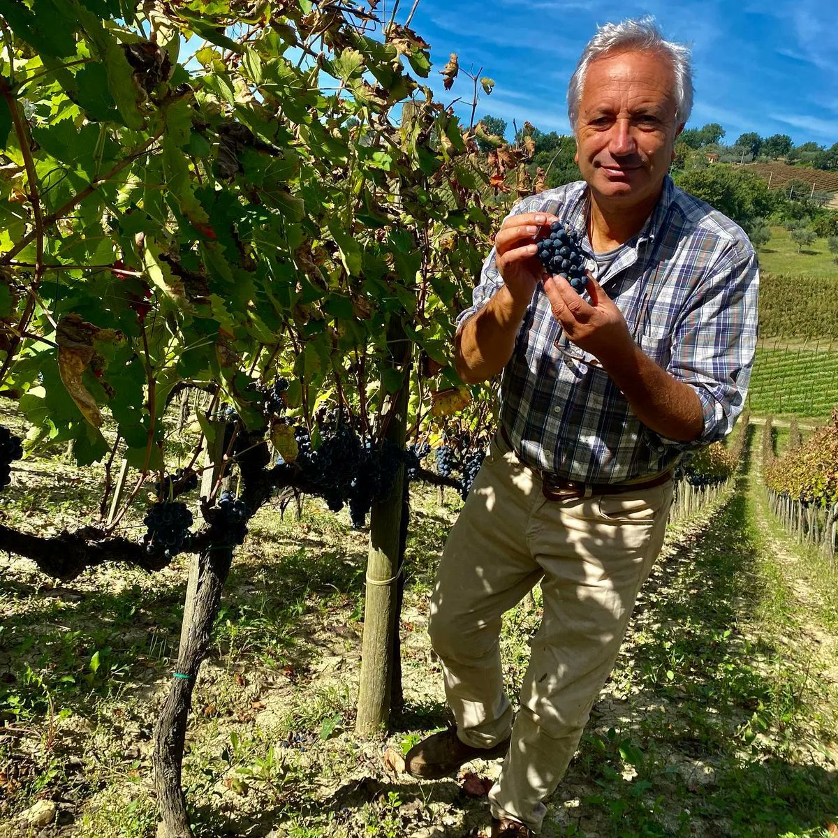 Luigi Moio è un grande professore e un vignaiolo altrettanto attento e preciso così come il suo Vigna Quintodecimo. Oggi vi raccontiano l'annata 2018 del suo grande Aglianico!

buff.ly/3KRPKaJ