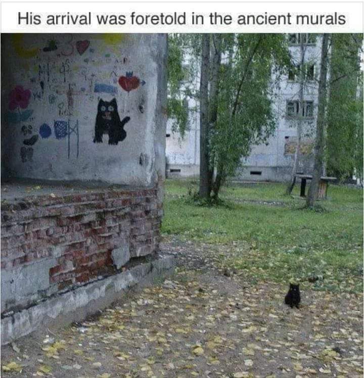 WholesomeMeme tweet picture