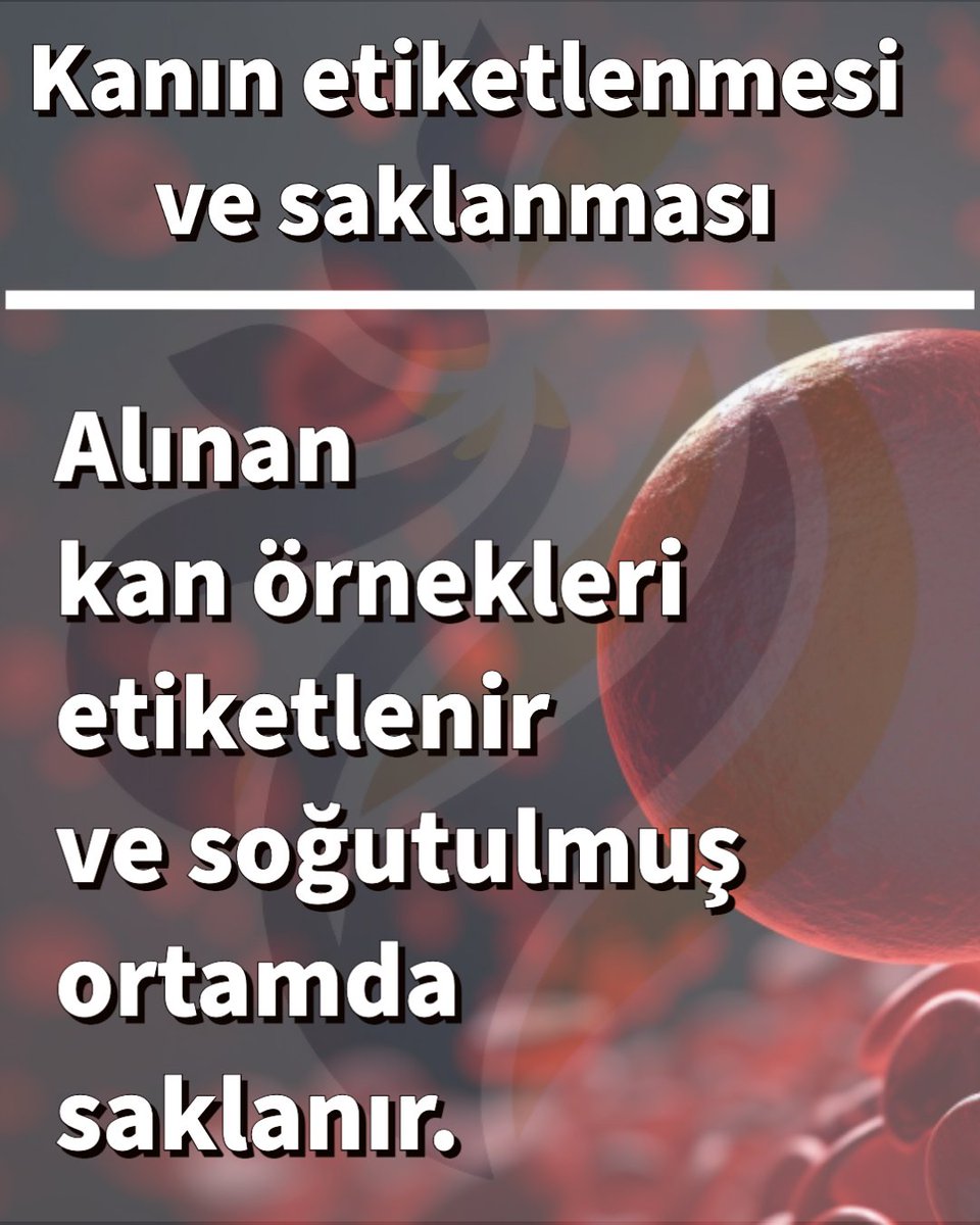 icingerekenler's tweet photo. https://t.co/VN7byZd1HF