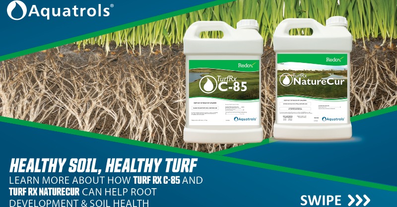 AquatrolsEurope's tweet photo. Strong root development and healthy soil are your ticket to consistent, high performing playing surfaces. #NatureCur & #C85:
❇️ Optimise root quality, quantity and strength
❇️ Stimulate root development and metabolism under stress
❇️ Improve soil microbial diversity and health https://t.co/6jVCOLo0MG