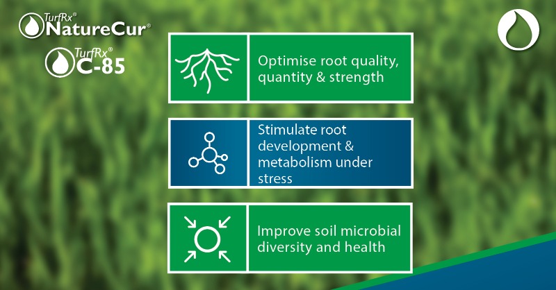 AquatrolsEurope's tweet photo. Strong root development and healthy soil are your ticket to consistent, high performing playing surfaces. #NatureCur & #C85:
❇️ Optimise root quality, quantity and strength
❇️ Stimulate root development and metabolism under stress
❇️ Improve soil microbial diversity and health https://t.co/6jVCOLo0MG