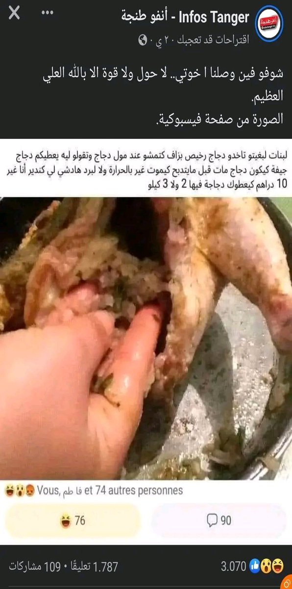 المراكشيين يأكلون الجيفة في مملكة أمير المؤمنين سويسرا العرب في المواقع شفتوا بلي مجاورين حيوانات مش بشر ! 🇲🇦🤥😳#المغرب_أضحوكة_العالم 
#المغرب 
#أم_حسن_مروكية_الاصل