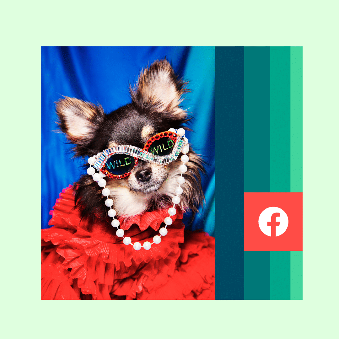 HootAJ's tweet photo. What’s trending on Facebook right now – and how is Facebook changing in 2023? We’ve rounded up the most important Facebook trends marketers need to watch this year 👀
https://t.co/yPDFAwcTMp https://t.co/fVACaG4A60