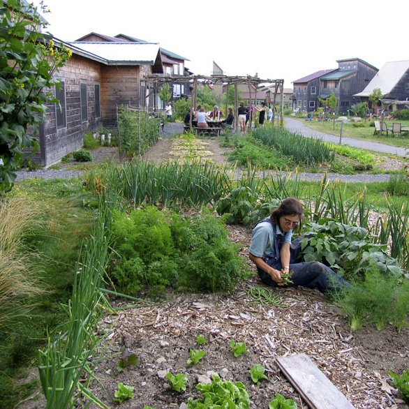 Want to learn about the #psychology of residents living in agricultural intentional communities? Check out this new article by <a href="/jlasoffsantos/">Jess M. Lasoff-Santos</a> and Raymond De Young at <a href="/UMich/">University of Michigan</a>. #cohousing #agriculture #ecovillage Read for free: doi.org/10.5304/jafscd…