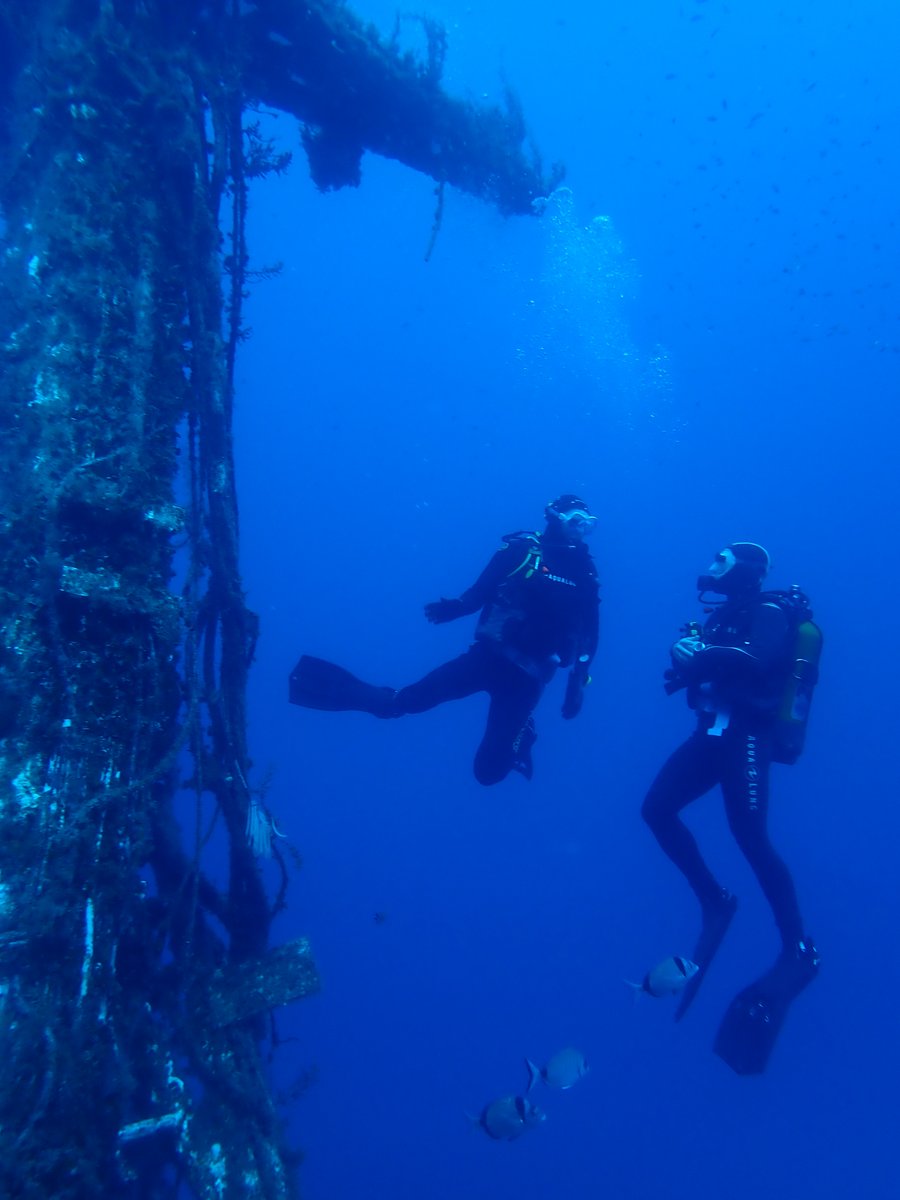AdventuresAtRBC's tweet photo. A fantastic final day at Cirkewwa which included moray eels, cuttlefish, the wrecks of a patrol boat and a fishing trawler, and some amazing underwater rock formations. Three boys completed their Advanced Open Water qualification and 10 were awarded their Open Water. What a trip! https://t.co/68lvStLmUa