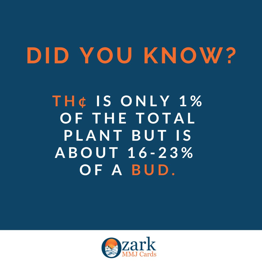 OzarkMMJCards's tweet photo. And concentrates and edibles can have significantly more! The full plant provides the full spectrum so a very small dose of a plant product is Dr. Dan's recommendation. Each patient's situation is unique. Make an appointment to discuss your symptoms and options. https://t.co/SGxgMoKqxg