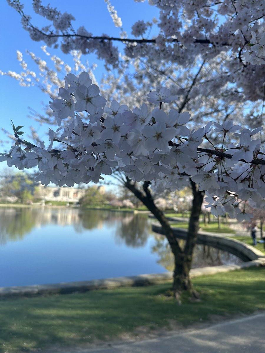 Haley | The Cleveland Bucket List tweet media