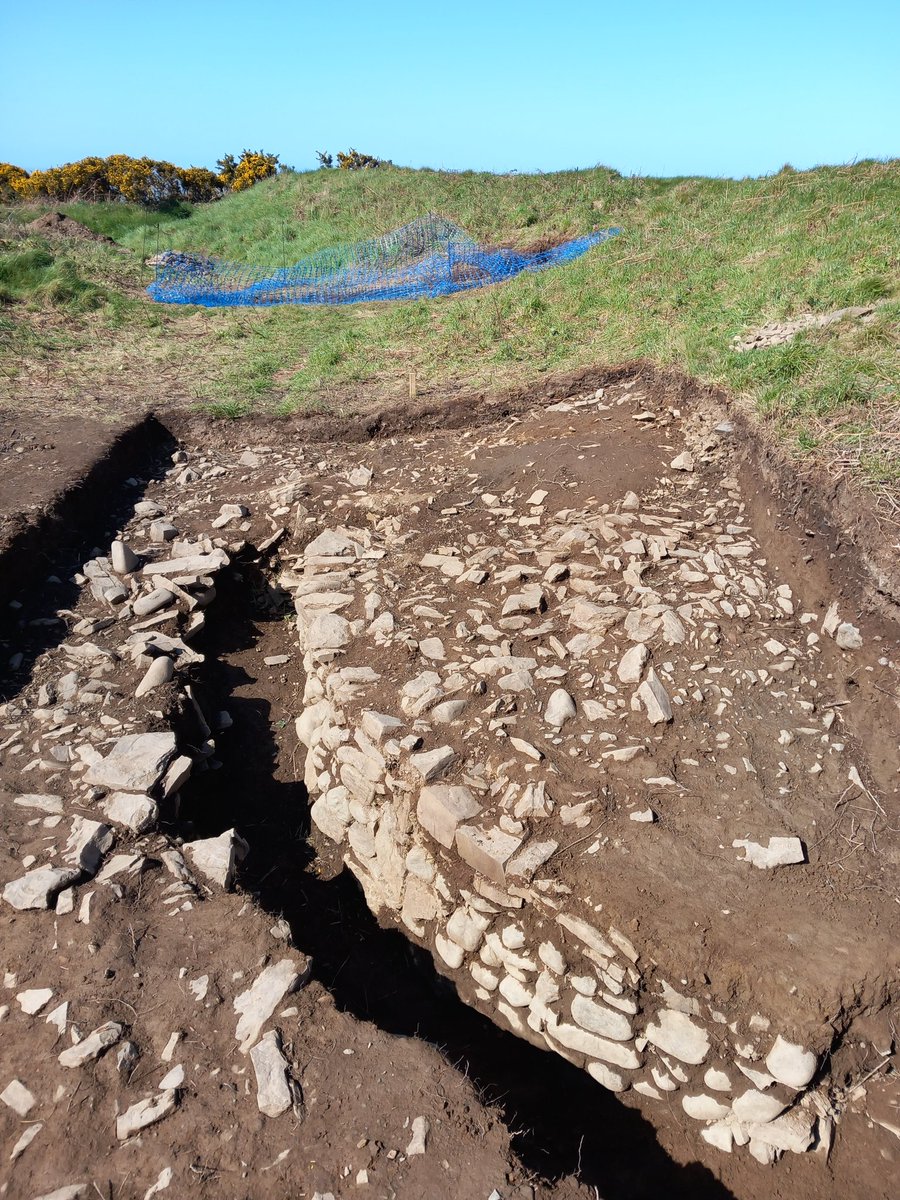 Kasuutta's tweet photo. Had a great visit to the #DigPendinas project today, some great features, and some striking legacies of earlier phases of archaeology - will freely admit, I'm a sucker for excavations of excavations!
#archaeology #excavations #IronAge #hillforts #Pendinas #Aberystwyth https://t.co/UmMVkn2gIm