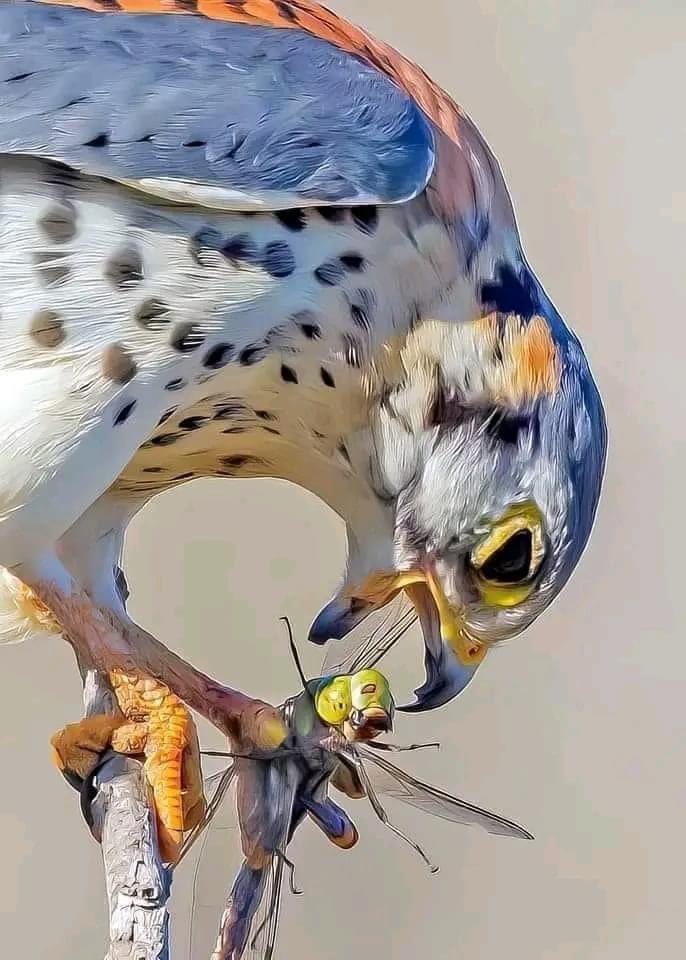 La naturaleza es realmente sorprendente,