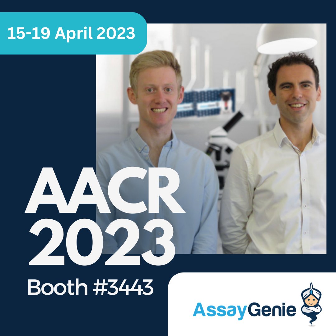 AssayGenie's tweet image. Not long left until #AACR23 where will be showcasing our latest technologies at booth 3443! Come along to chat about all things research and grab yourself a pair of Assay Genie socks!