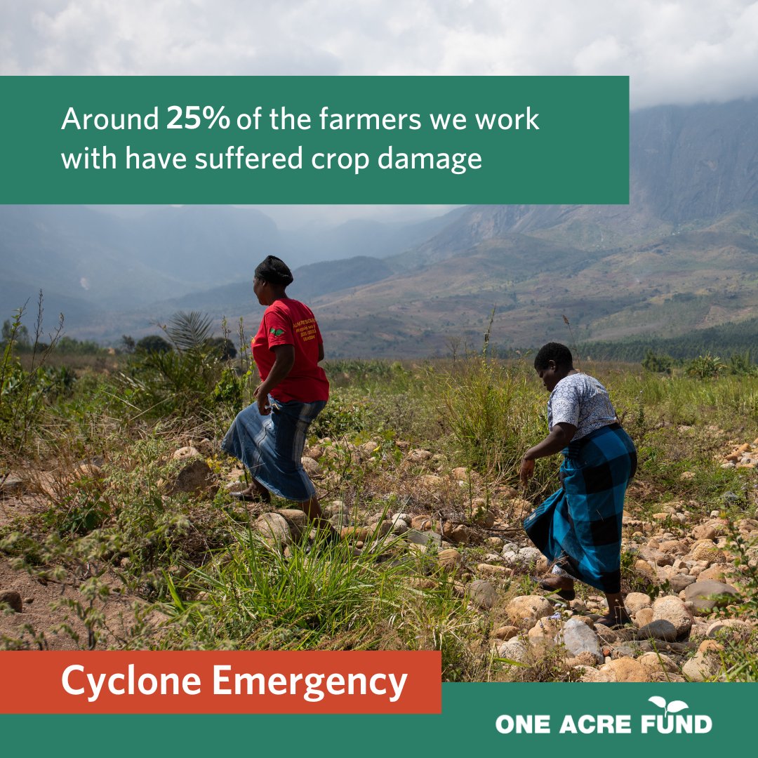 A photograph of two people walking through a field, there are hills in the distance and a cloudy sky. Text across the image reads 'Around 25% of the farmers we work with have suffered crop damage'. Text at the bottom reads Cyclone Emergency.