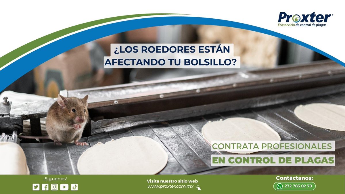 Proxter01's tweet photo. Las plagas pueden dañar y consumir la materia prima, lo resulta en costosos para cualquier empresa.
Evita la fuga de capital con nuestro servicio de control de plagas preventivo.

#plagas #fumigacion #proxter https://t.co/TN32jUS4NL