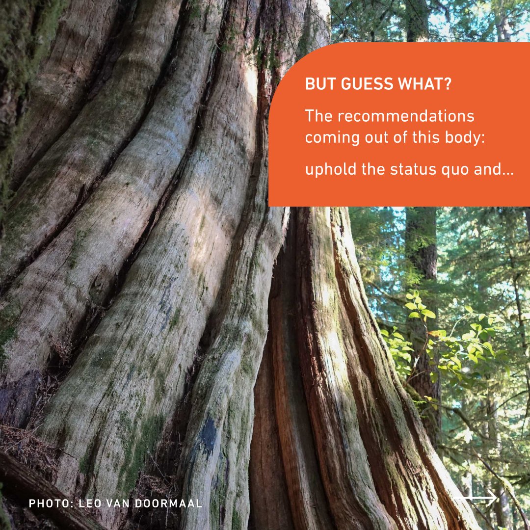 David Suzuki FDN tweet media