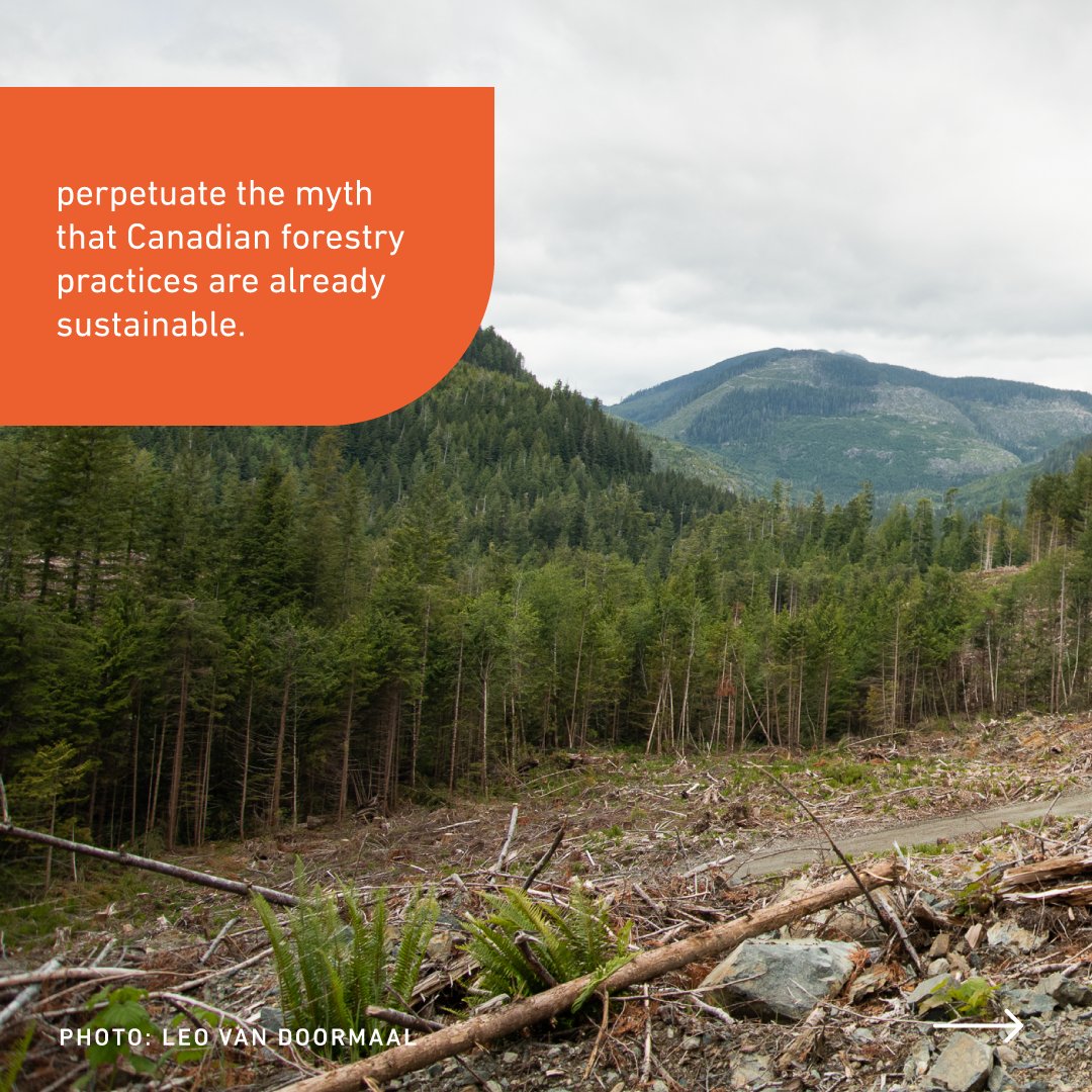 David Suzuki FDN tweet media