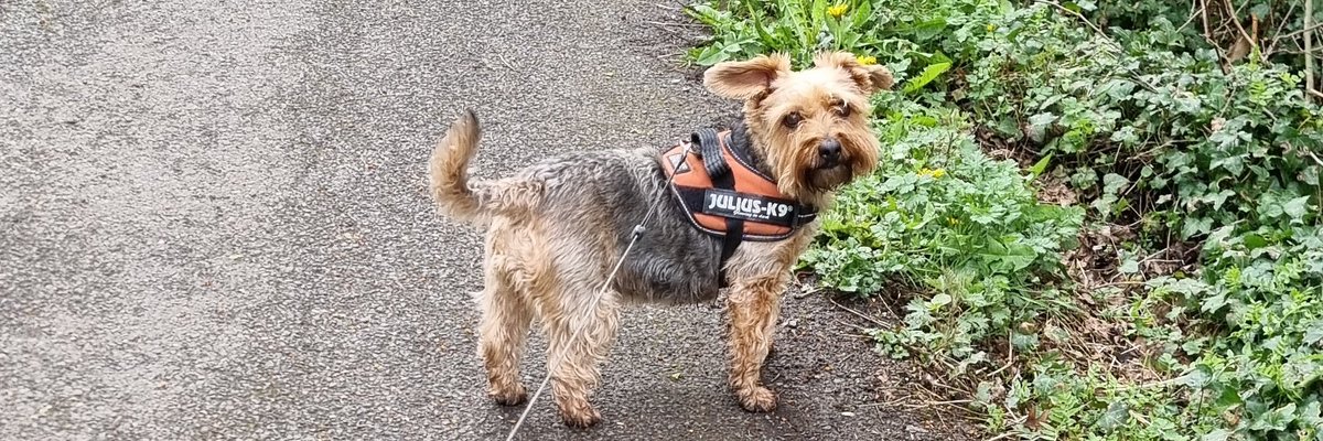 Taking time out with Sookie is my self care ❤️