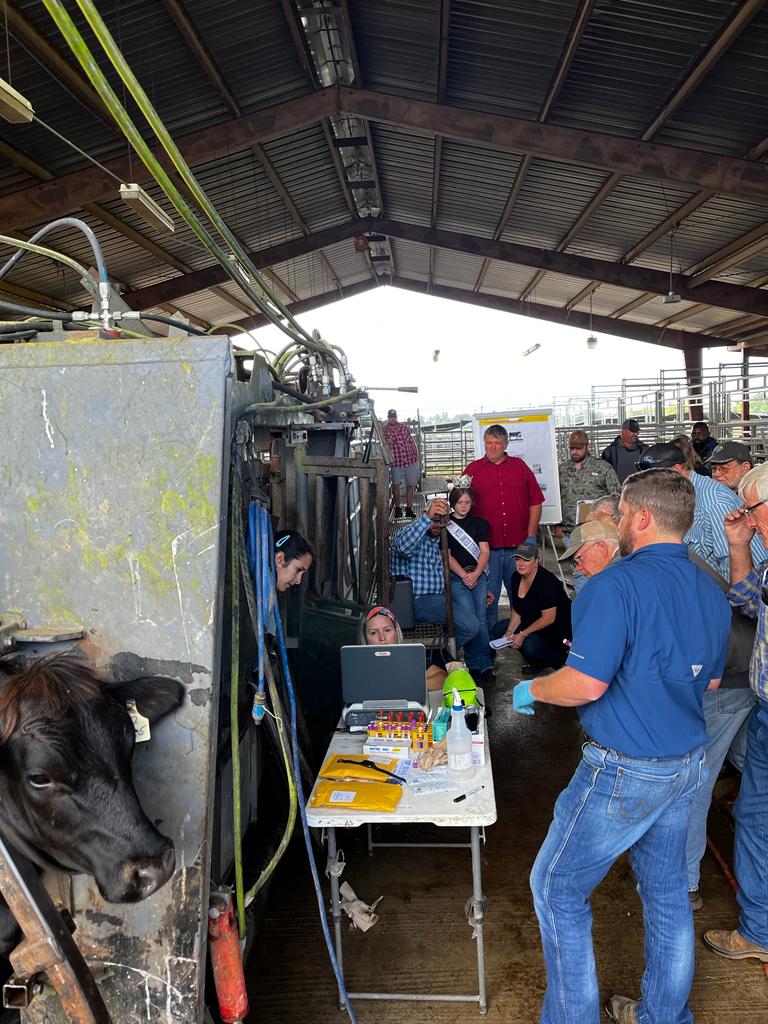 GelaGonella's tweet image. Nfrec 2023 field day! @ufifasnfrec @UF #AGextension #agriculture