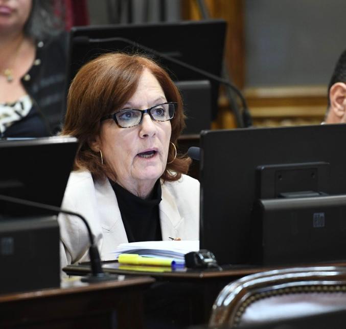 En la sesión de hoy solicité que se retome el tratamiento del proyecto de ley Boleto Federal y que se emita el dictamen que fue acordado en el pasado mes de noviembre en la comisión de Infraestructura, Vivienda y Transporte.

<a href="/SenadoArgentina/">Senado Argentina</a> 
#BoletoFederal #Transporte