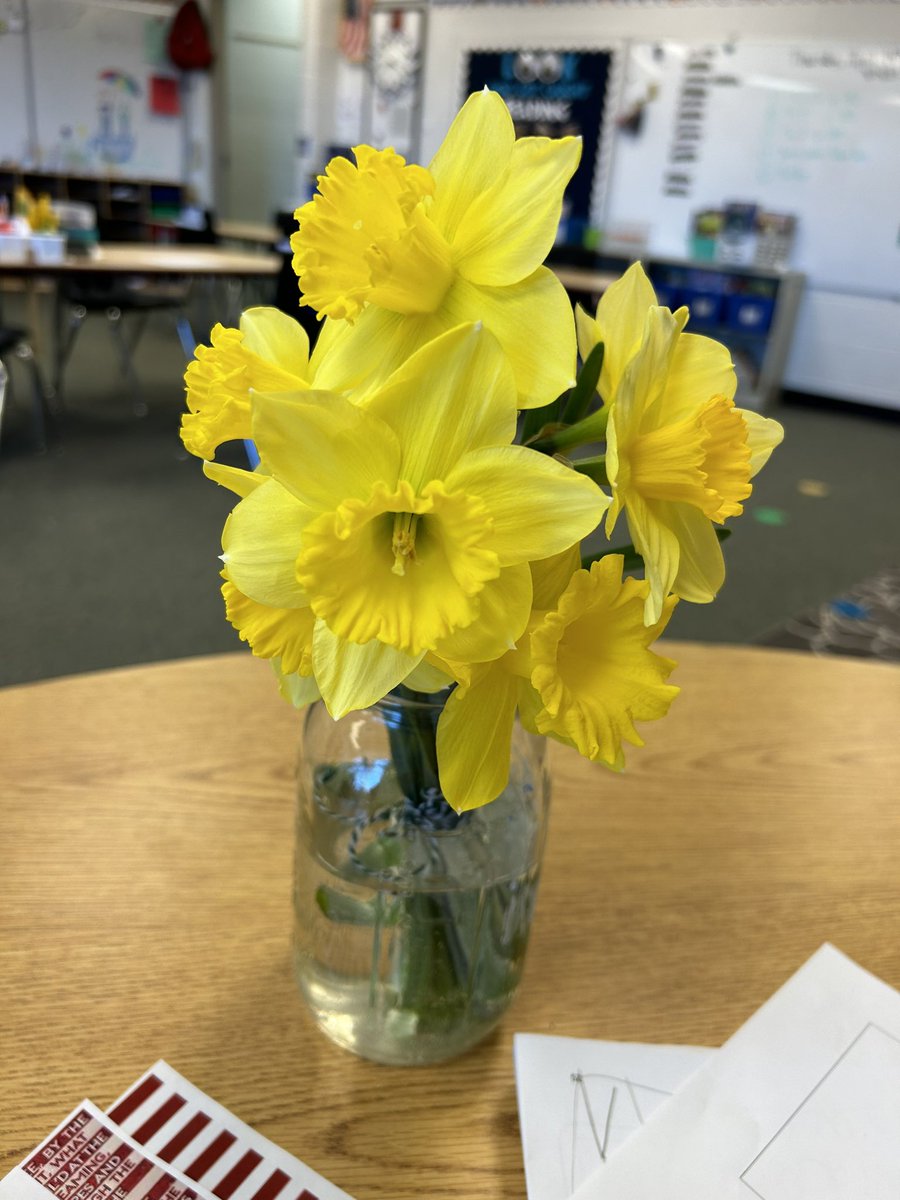 Thank you so much to one of my amazing students who brought me in these beautiful daffodils. They truly brightened my day. #springflowers <a href="/nbes220/">@NBES220</a>