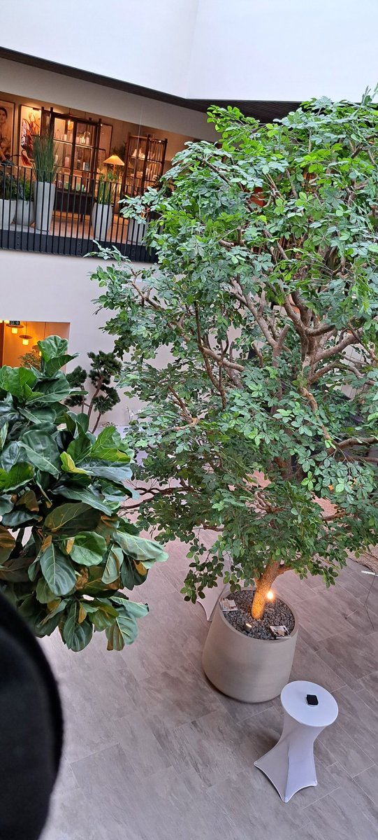 Inauguration de la Thalasso <a href="/rozmarine/">Розмарин</a> de Perros-Guirec ! 🙏🏼 L'agence locale <a href="/CcmPerrosGuirec/">CMB Perros Guirec</a> était bien là pour l'ouverture de ce magnifique établissement en présence des conseillers pros ! 😎 #bienetre #granitrose <a href="/CMBretagne/">CMBretagne</a> <a href="/cmarkea/">Crédit Mutuel Arkéa</a> <a href="/LannionPro/">Pôle Pro Lannion</a> <a href="/CreditDd22/">Crédit Mutuel DD22</a> @PerrosGuirec22