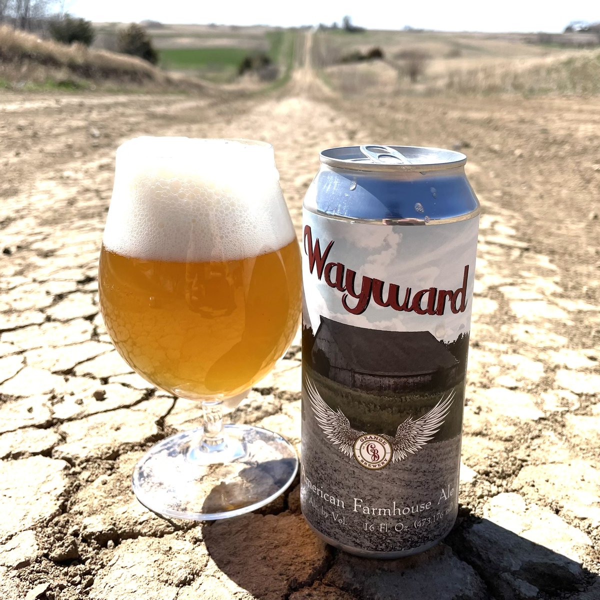 One of the few things I’ve ever liked about living in Iowa is drinking beer on a dirt road. Eric and I recently elevated the pastime.