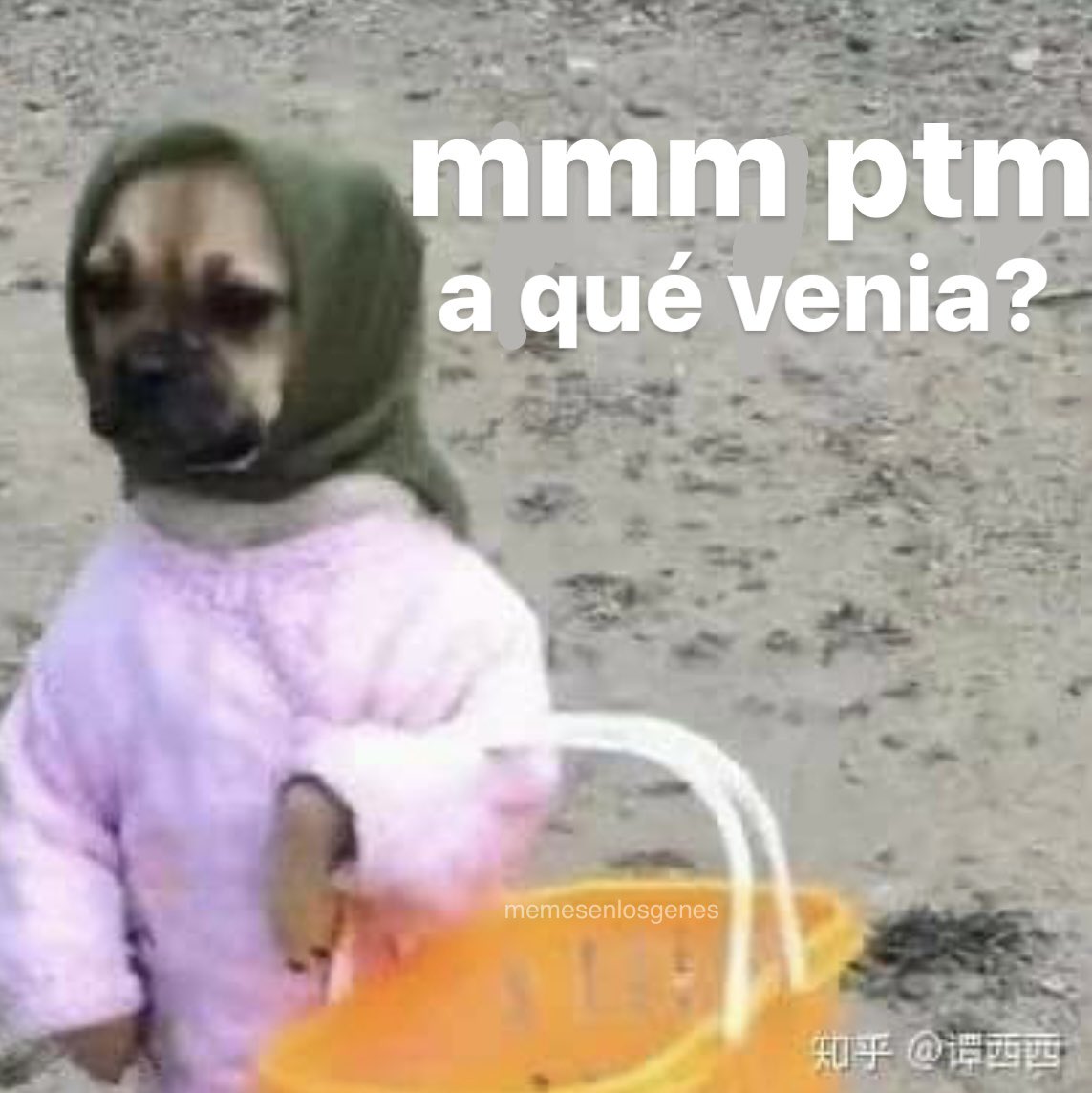 memesenlosgenes (@memesenlosgenes) on Twitter photo 