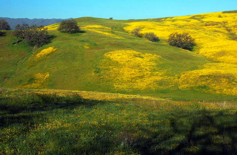 RldUp's tweet image. A Condor's Weekend riledupjournal.com/a-condors-week…